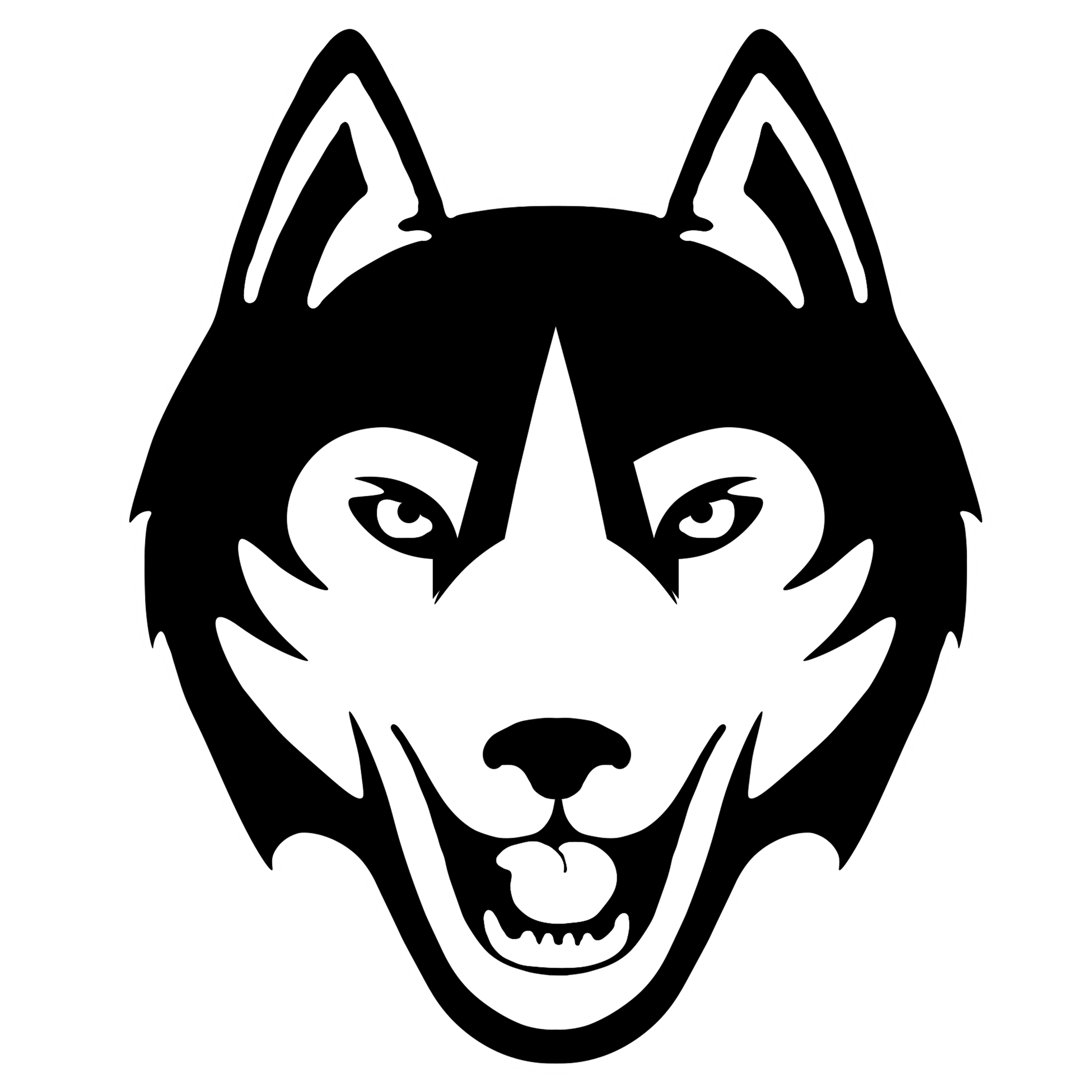  Husky